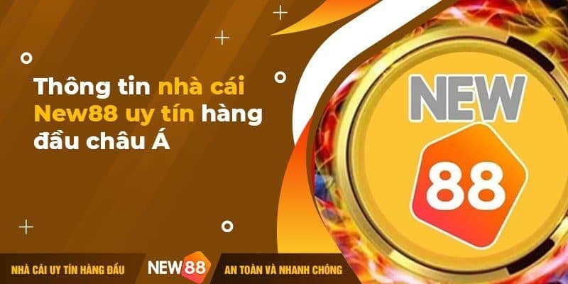 Vài nét về nhà cái New88