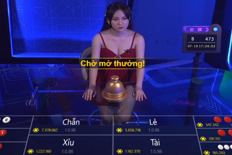 Minh họa bàn cược xóc đĩa tại nhà cái New88