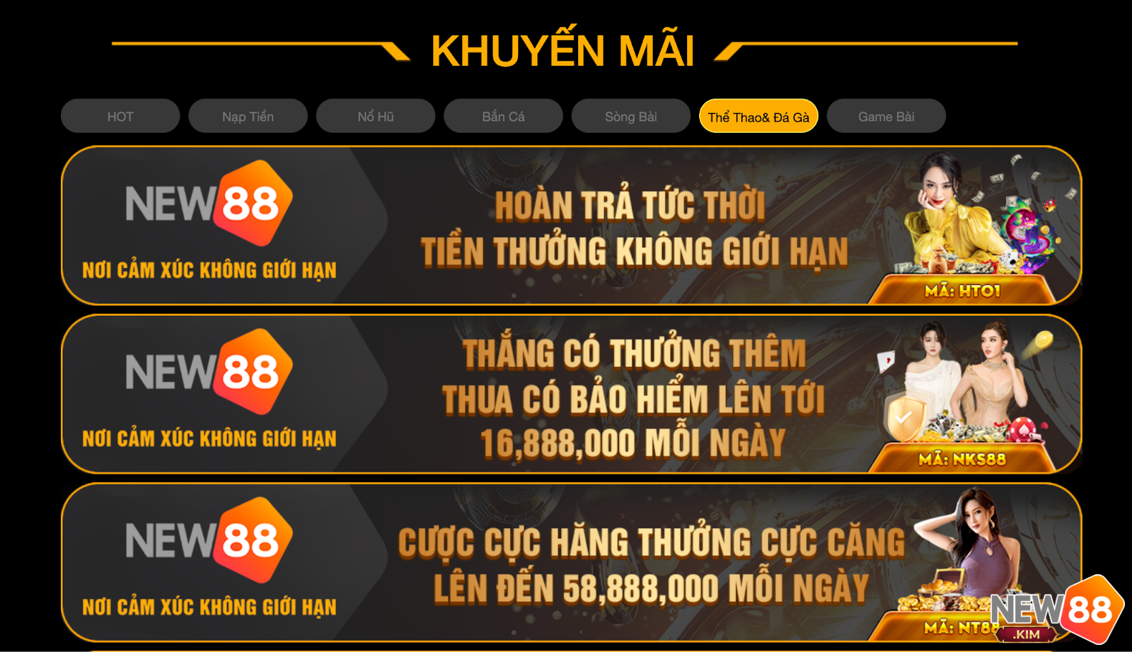 Khuyến mãi hiện hành New88 đang triển khai đối với thể thao và đá gà rất nhiều