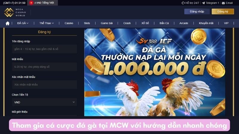 Tham gia cá cược đá gà tại MCW với hướng dẫn nhanh chóng