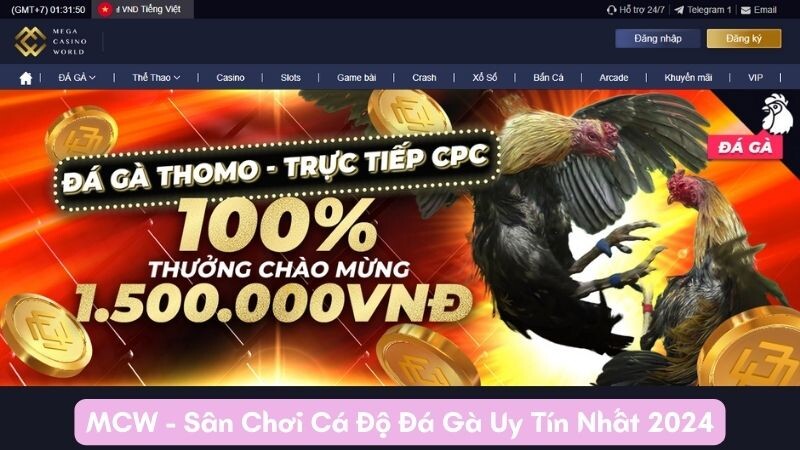 Tổng quan về sân chơi đá gà trực tiếp MCW