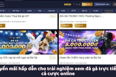 Xem Đá Gà Trực Tiếp An Toàn Và Uy Tín Tại Trang Web Đá Gà MCW