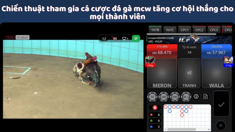 Chiến thuật tham gia cá cược đá gà mcw tăng cơ hội thắng cho mọi thành viên