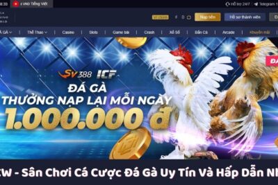 MCW – Sân Chơi Cá Cược Đá Gà Uy Tín Và Hấp Dẫn Nhất