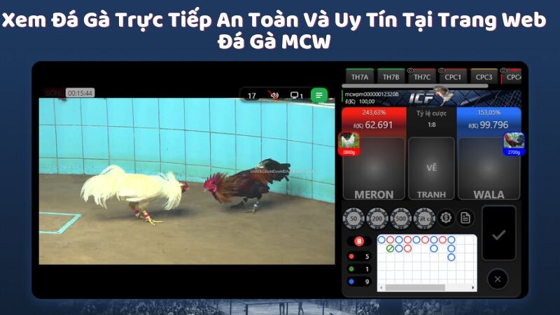 Giới thiệu về đá gà MCW, trang web xem đá gà trực tiếp