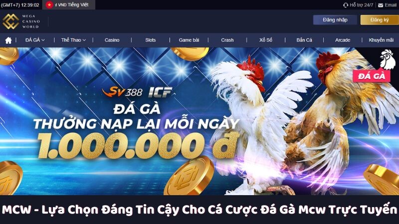 Tại sao nói MCW là lựa chọn đáng tin cậy cho cá cược đá gà mcw trực tuyến?